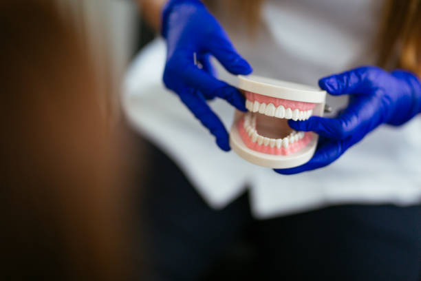 Professional Dental Services in Wind Gap, PA